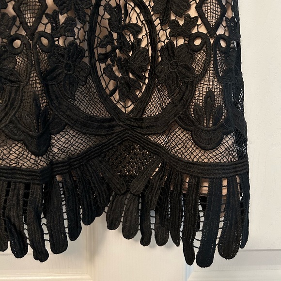 Lovers + Friends Black Revolve Caspian Lace Cocktail Shift Dress - Picture 5 of 6